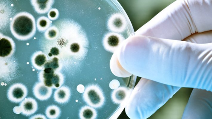 Es liegt was in der Luft … ein schutzbringender Duft Es liegt was in der Luft … ein schutzbringender Duft