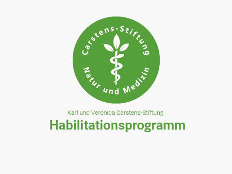 Warum wirkt pflanzenbetonte Ernährung positiv auf die Gesundheit?